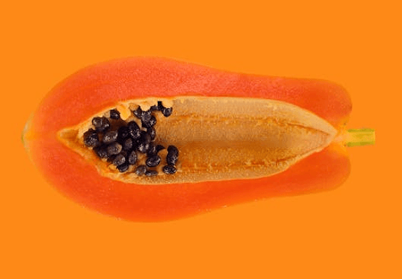 Mamão Papaya cortado - Trofo-terapia